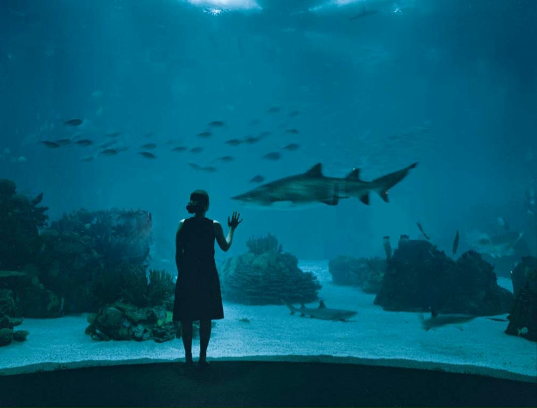 Валентина Герасимчук | Ровно