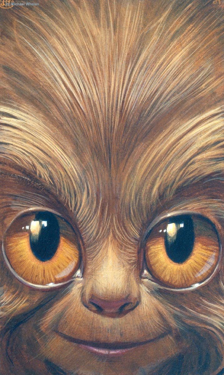 Семен Возненко | Северодонецк