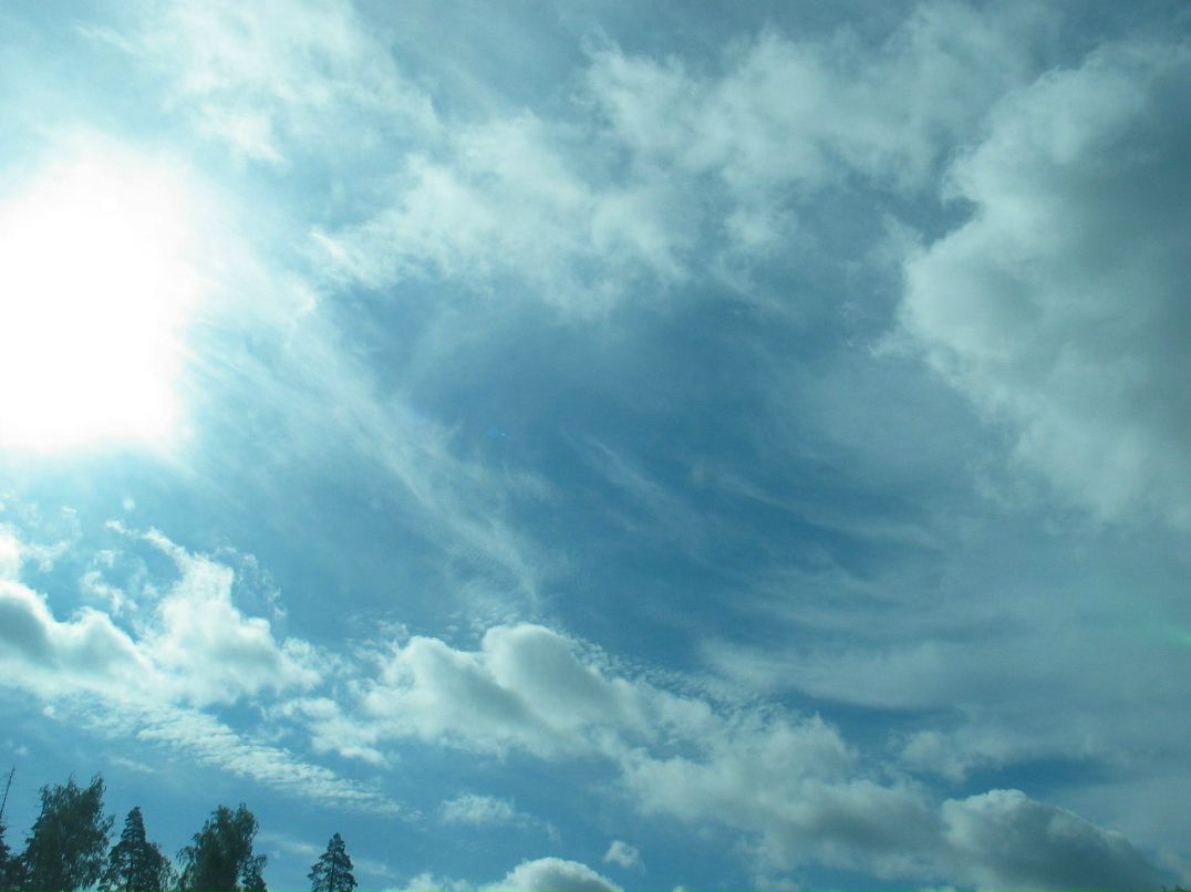 Юлия Гармаш | Санкт-Петербург