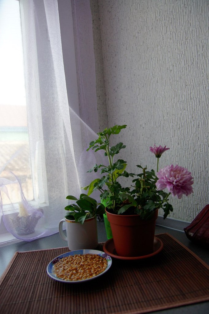 Ирина Федорова | Шемышейка