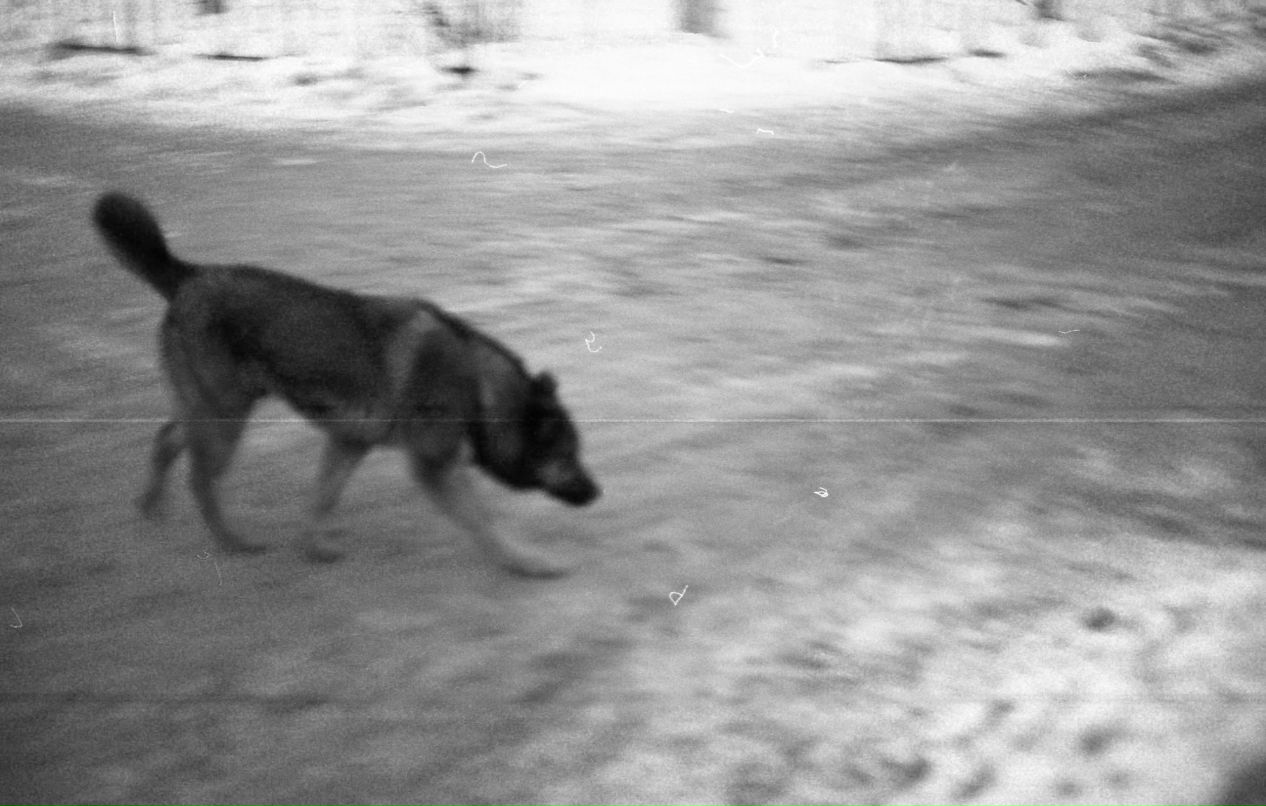 Ольга Вигуро | 