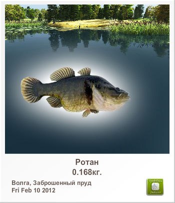 Дима Алфёров | Сыктывкар