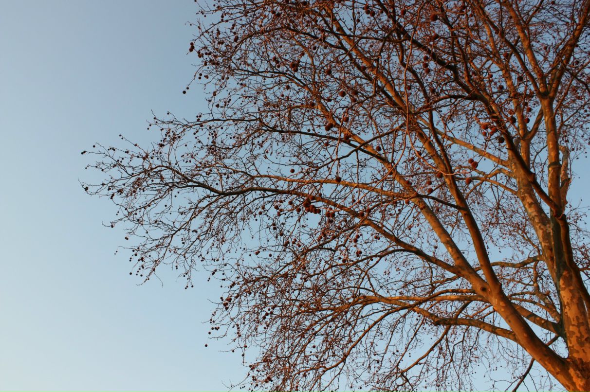 Инна Лёберманн | Москва