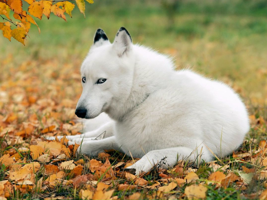 Вероника Мюллер | München