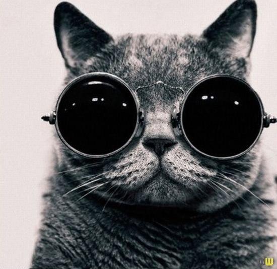 Sasha Shepet | Киев