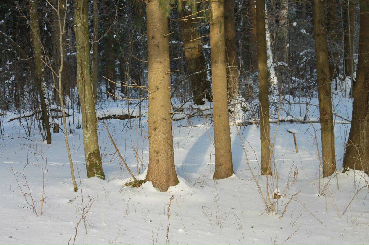 Станислав Шустеров -=D.E.L.™=- | Санкт-Петербург