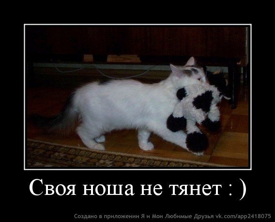 Анечка Цыбина | Ижевск