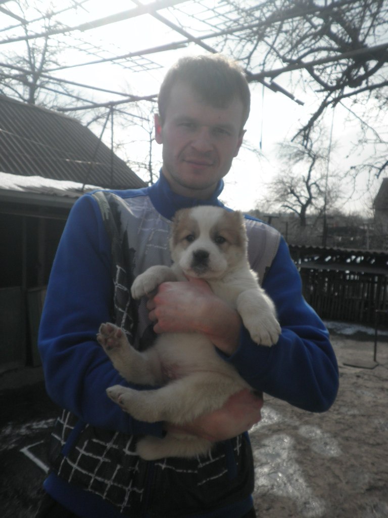 Анатолий Свечкарёв | Мариуполь