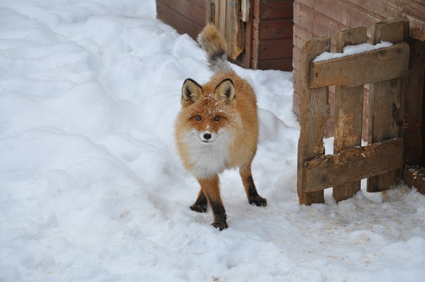 Юлия Топкина | Москва