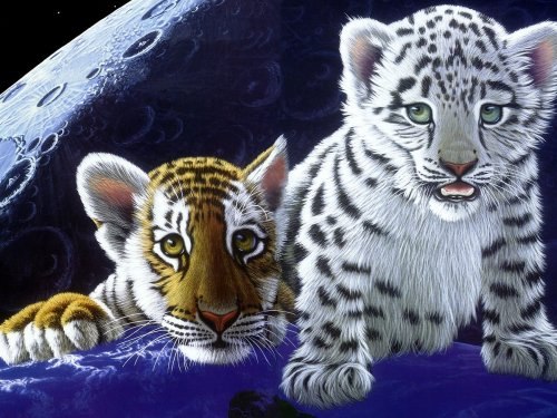 №7, Просто Так, 32 года, Москва №7, Просто Так, 32 года, Москва