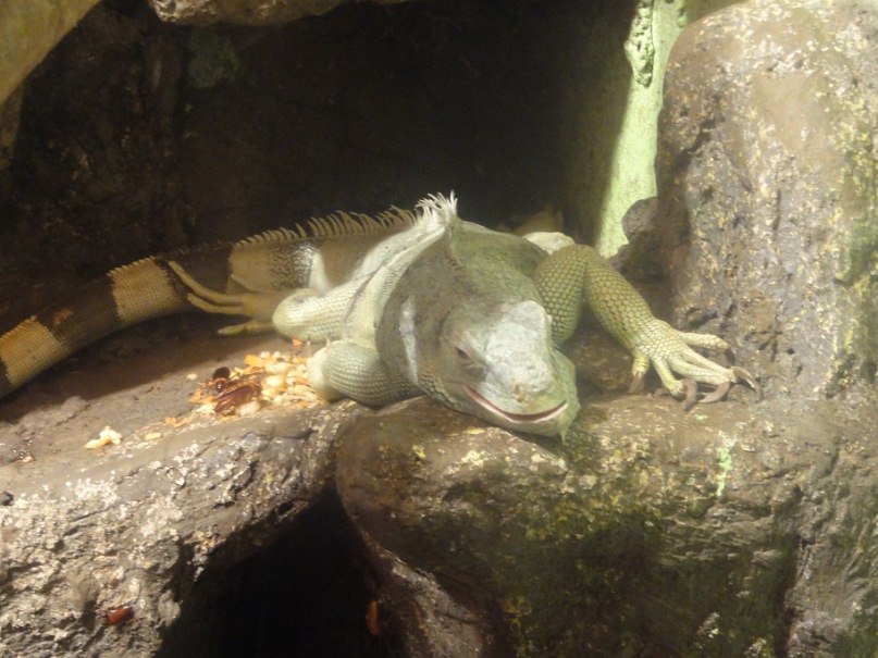 Руслан Зибров | Петропавловск-Камчатский