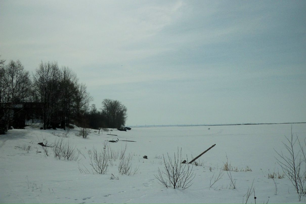 Татьяна Гаврюкова ~Туманка~ | Пермь