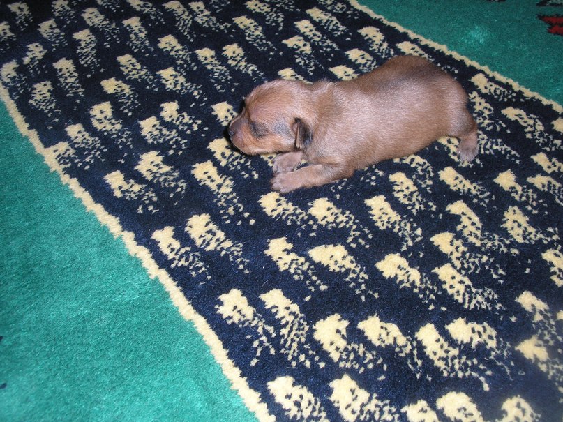 Лёха Иванов | Новый Уренгой