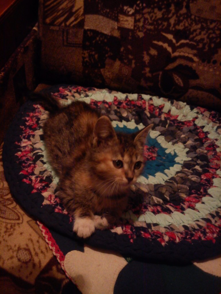 Алёна Тютнева | Воскресенск