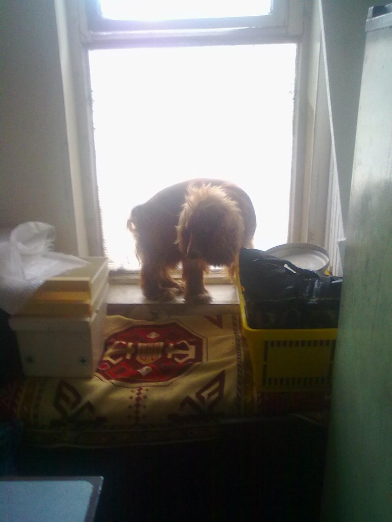 Андрей Кузнецов RespectMeNigga | Харьков