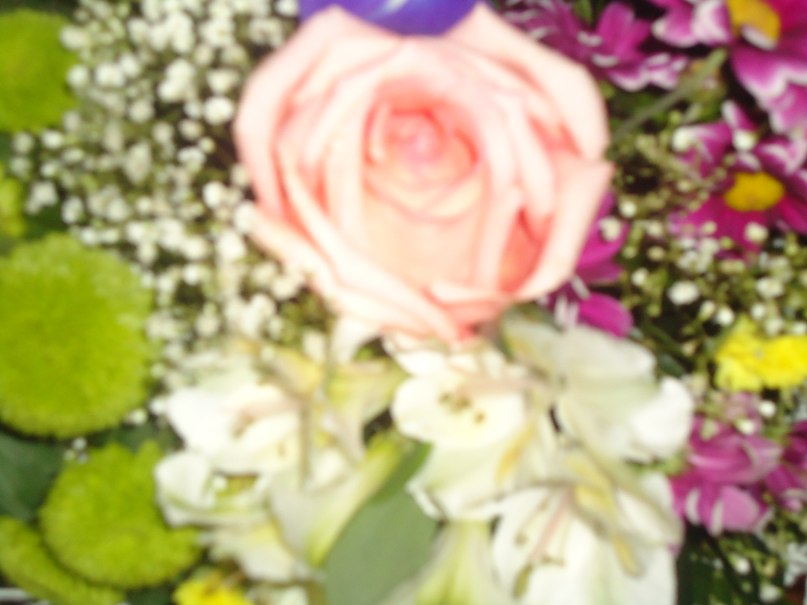 Анжелика Хафизова | Набережные Челны