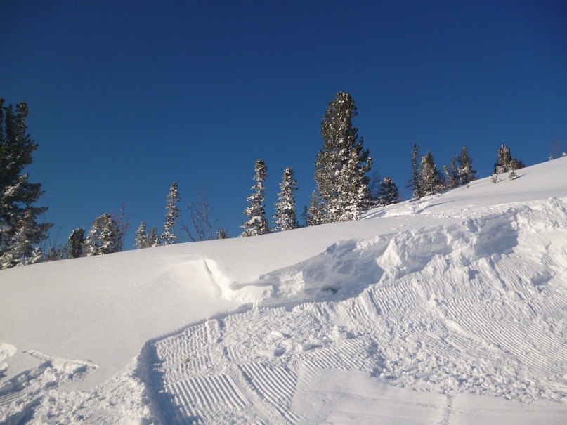 Екатерина Лабетикова | Красноярск