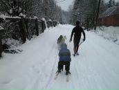 №29 Светлана Ларионова 04.04: профиль, фото, статус - ВКонтакте