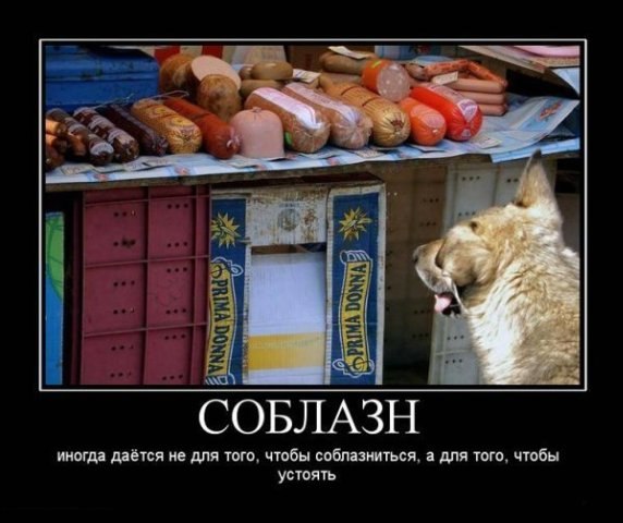 Паша Белецкий | Мелитополь