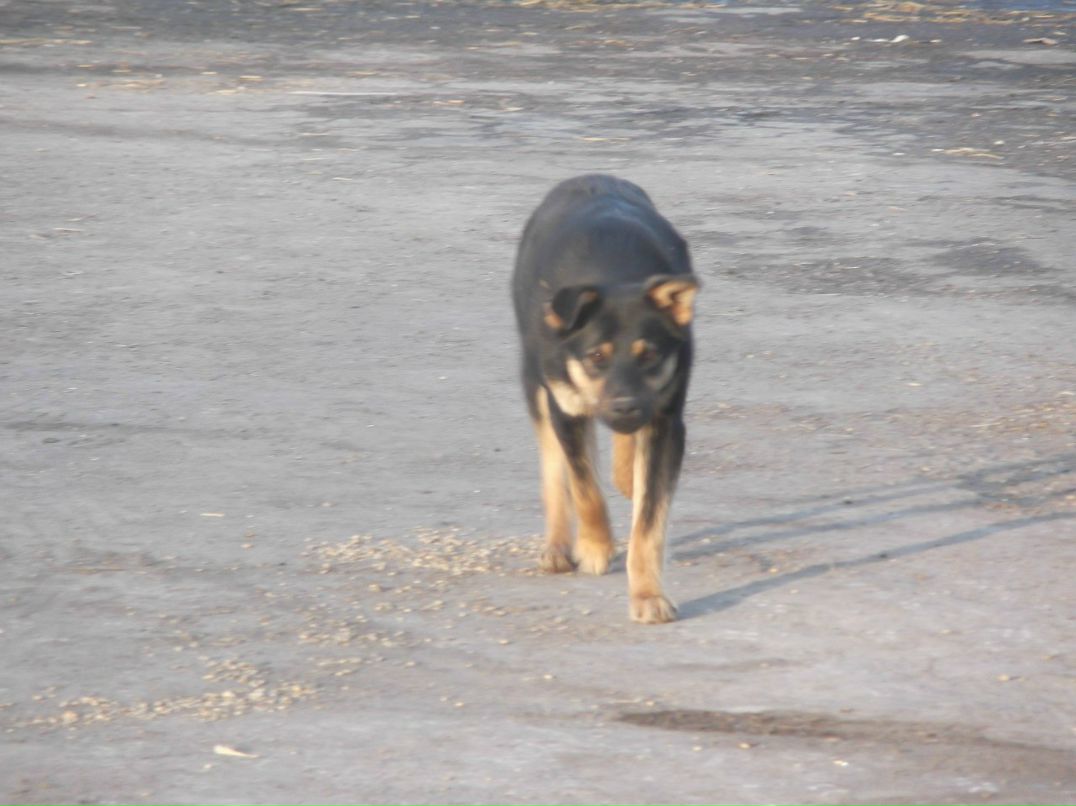 Валерій Ясиновий | Малая Антоновка