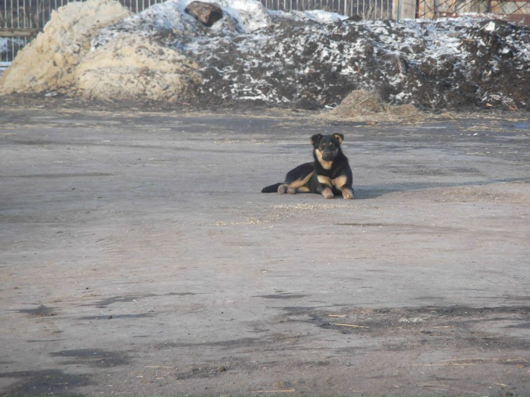 Валерій Ясиновий | Малая Антоновка