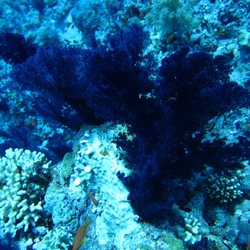 Николай Рябов | Дзержинск