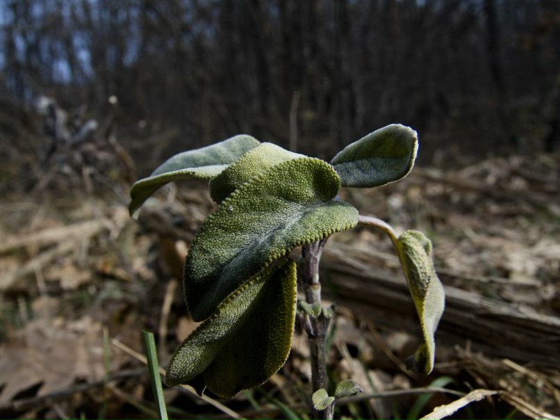 Павел Шпильман | Москва