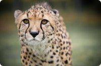 Виталий Ященко | Николаев