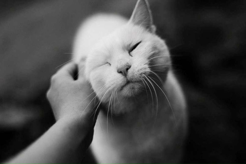 Даша Фетисова | Калининград