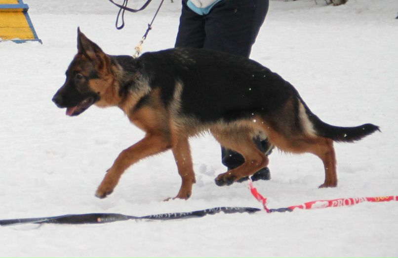 Вика Петлина | Москва
