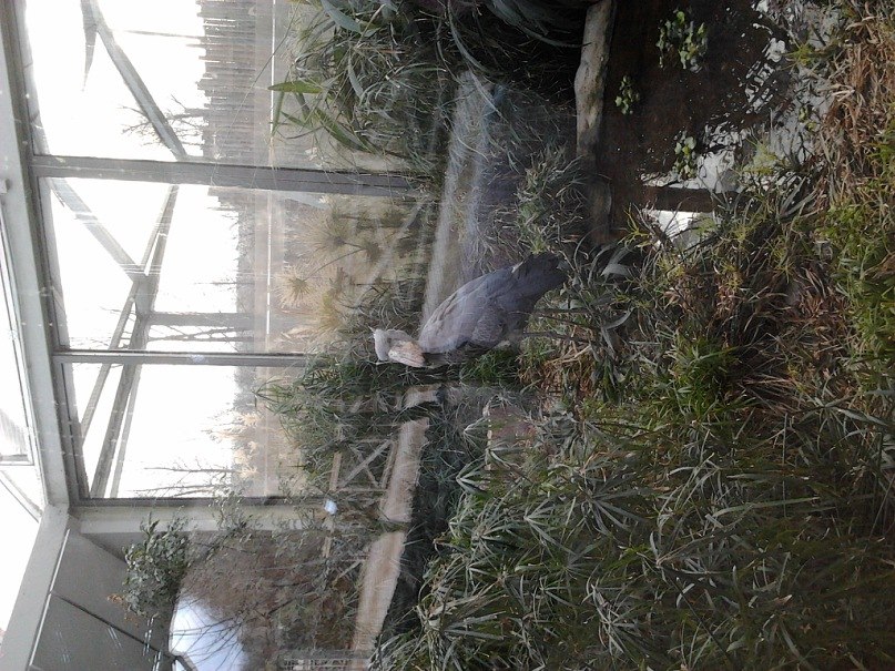 Инна Зацинская | Угледар