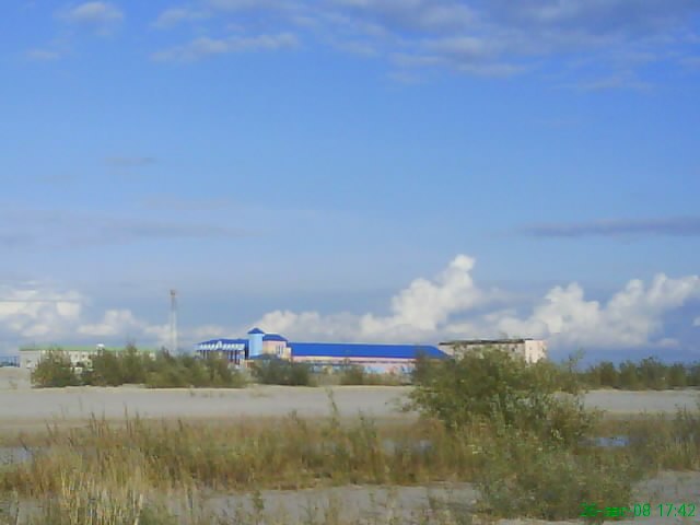 Татьяна Сенецкая | Надым