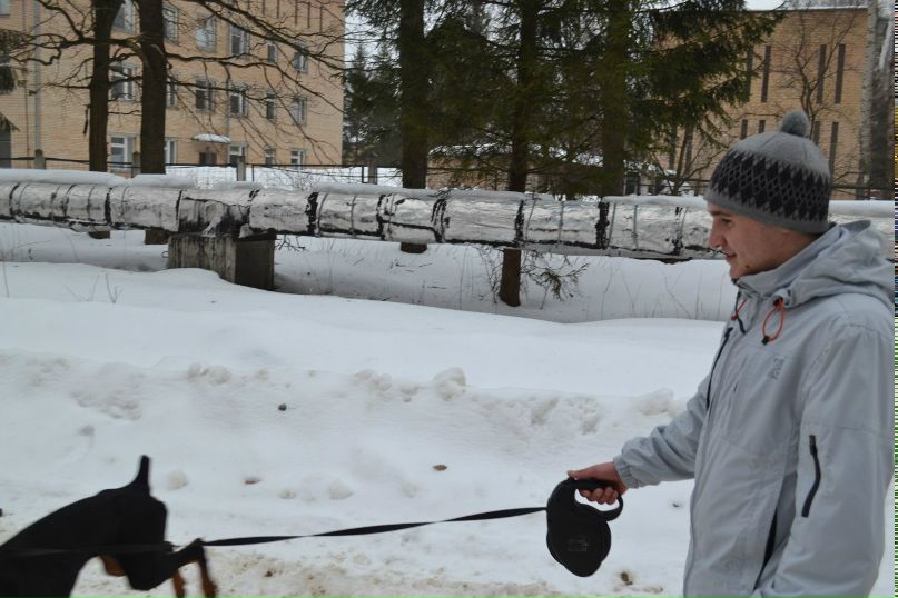 Александр Замкадышевский | 
