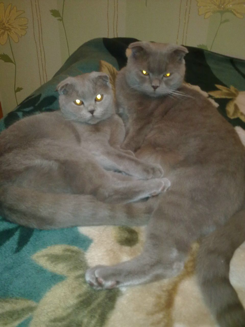 Наталия Цыганова | Санкт-Петербург