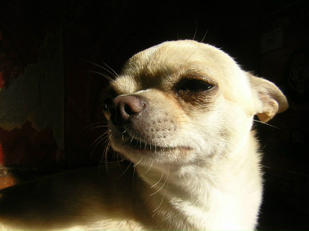 Елена Аврова | Санкт-Петербург