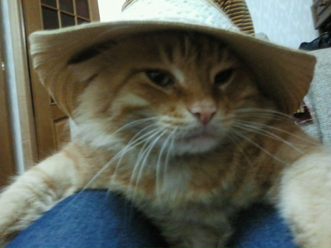 Марина Смусьева | Москва