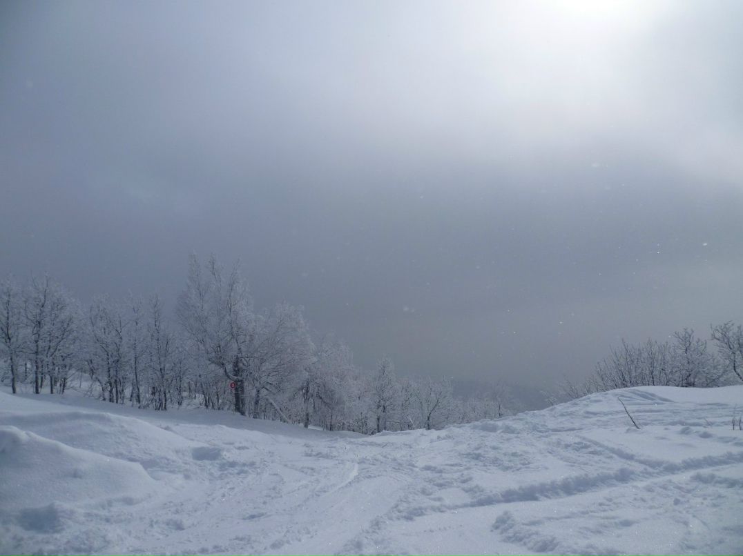 Тамара Смирнова ☼  Ǩϰƈﮛl ☼ | Чебоксары