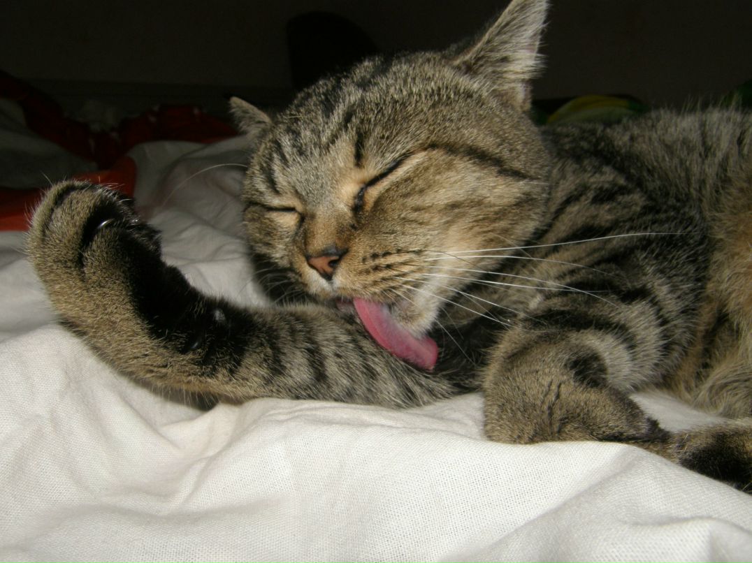 Иванна Курдюмова | Львов