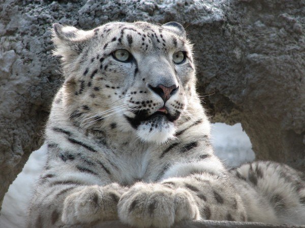 Влад Черных | Сарапул