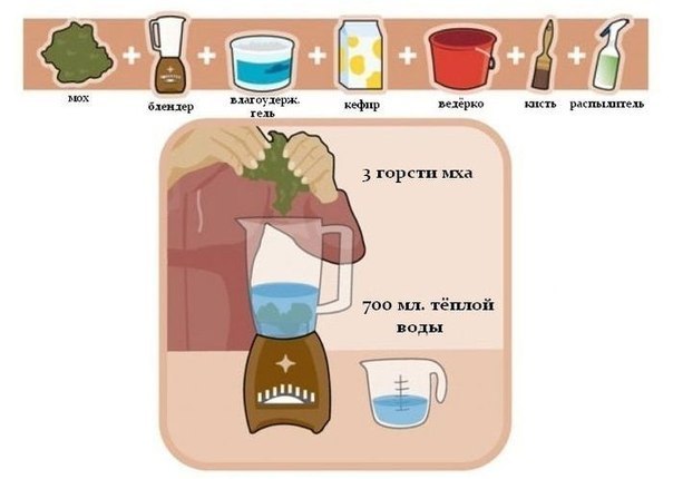 Ирина Данилович | Львов