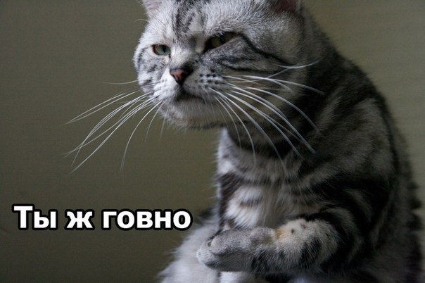 Алла Шимчук | Москва