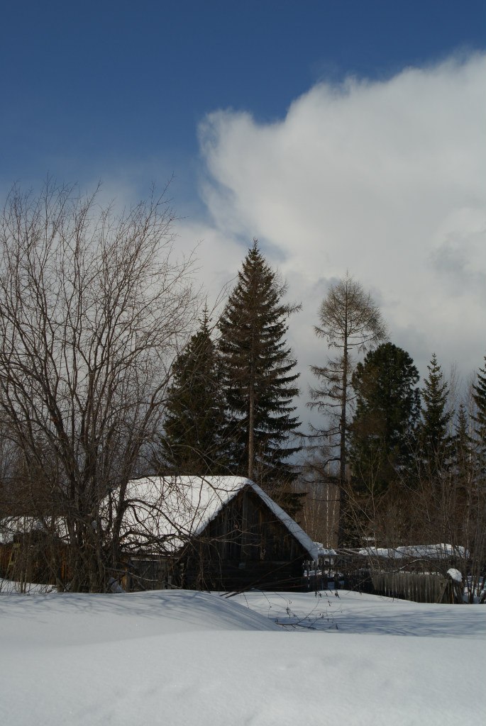 Иван Босниец | 