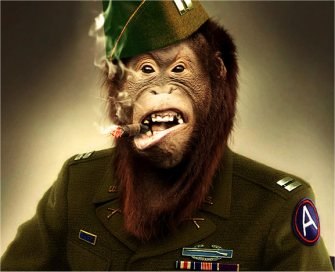 Сева Погосян | Орёл