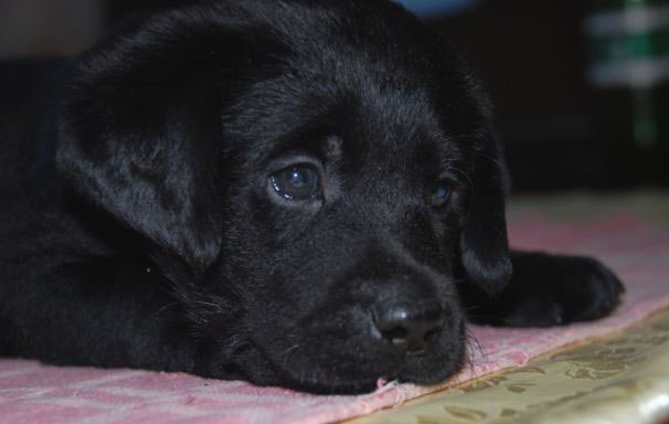 Наташа Власкина | Минск