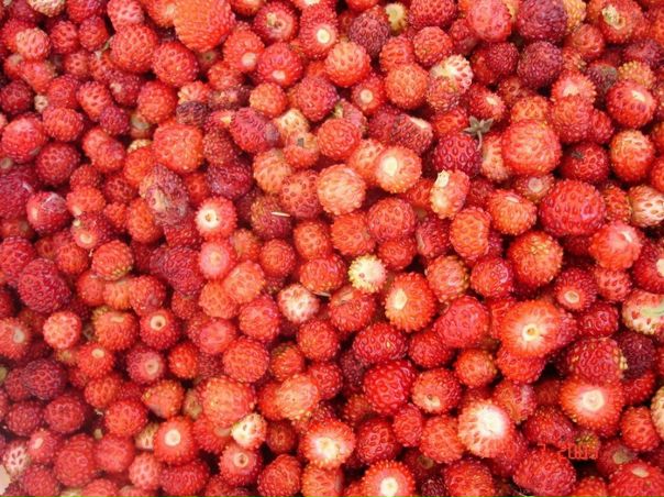 №28, Алсу Сушинцева, Сарапул, Россия №28, Алсу Сушинцева, Сарапул, Россия