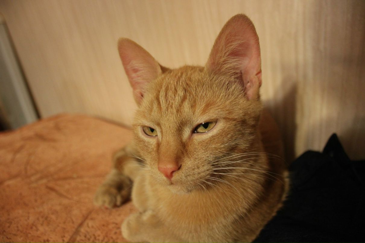 Екатерина Очирова Кнопа | Ярославль