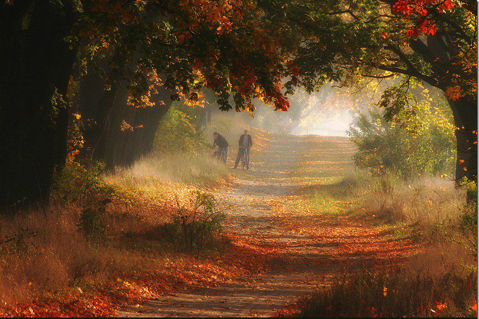 Sergiusz Waśko | Rybnik