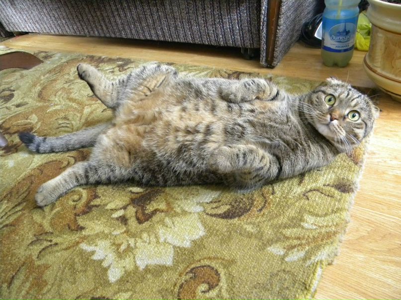 Витёк Балк | Москва