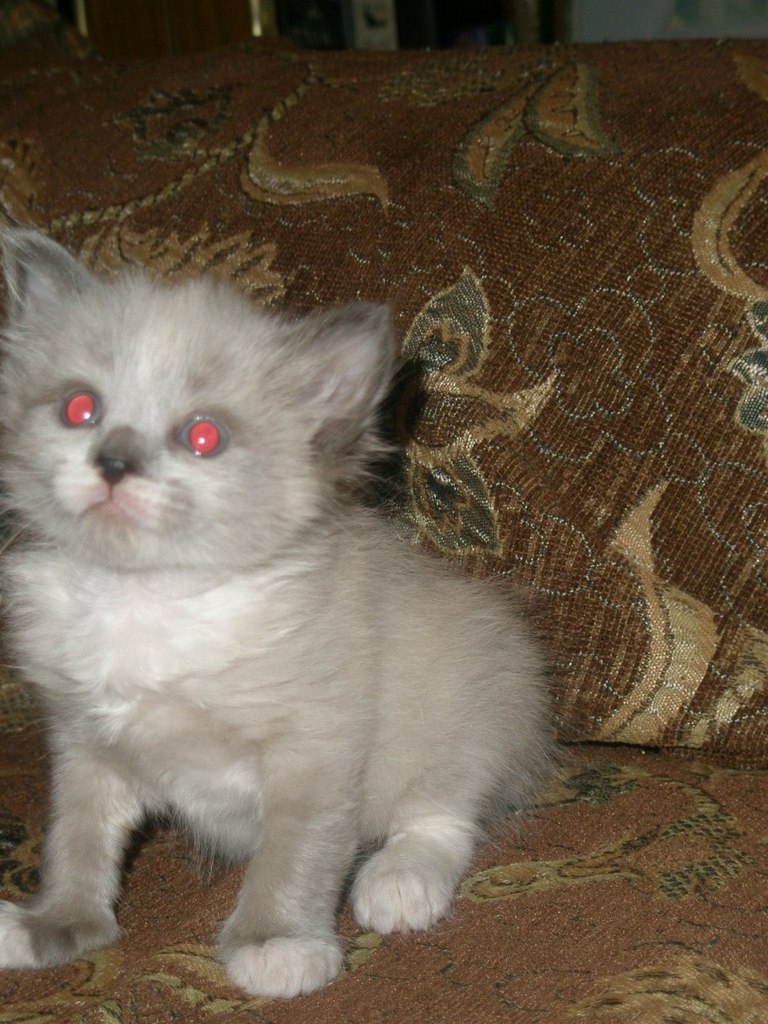 Людмила Писклова | Альметьевск