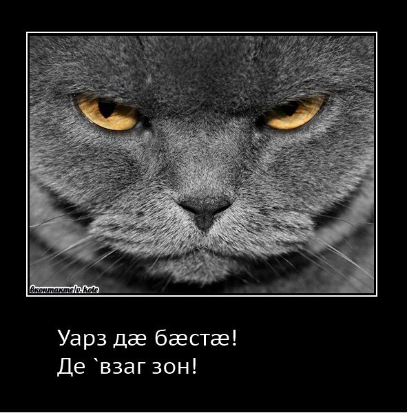 Арсен Тибилов | Владикавказ